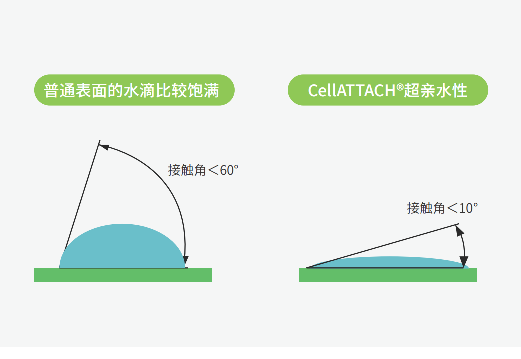 独特的超亲水表面处理技术，能为细胞提供更好的吸附性，促进细胞快速贴壁生长，提高产量